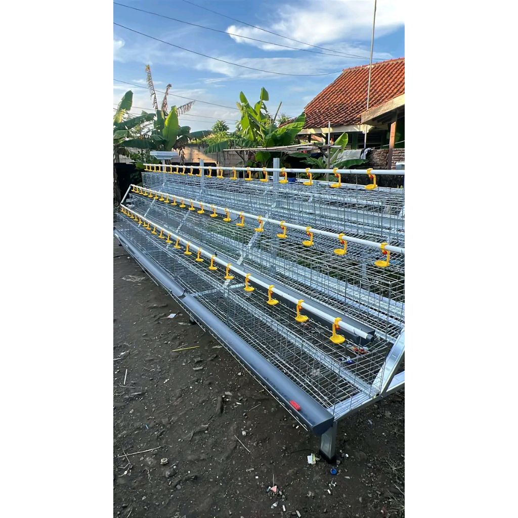 kandang ayam petelur kapasitas 100 ekor++