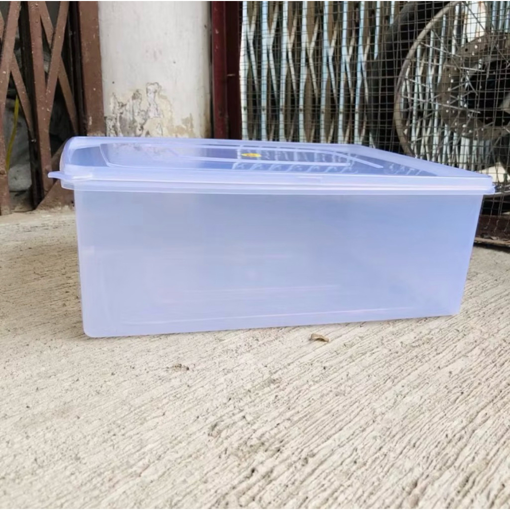 Kotak donat / tempat durian / bika ambon plastik bening no 3 GM