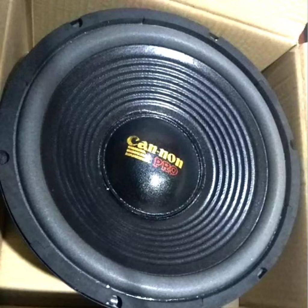 speaker 12inch cannon pro