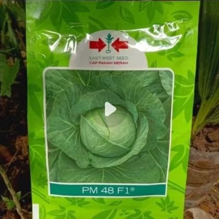 Benih Kubis Panah Merah PM 48 F1 15 Gram