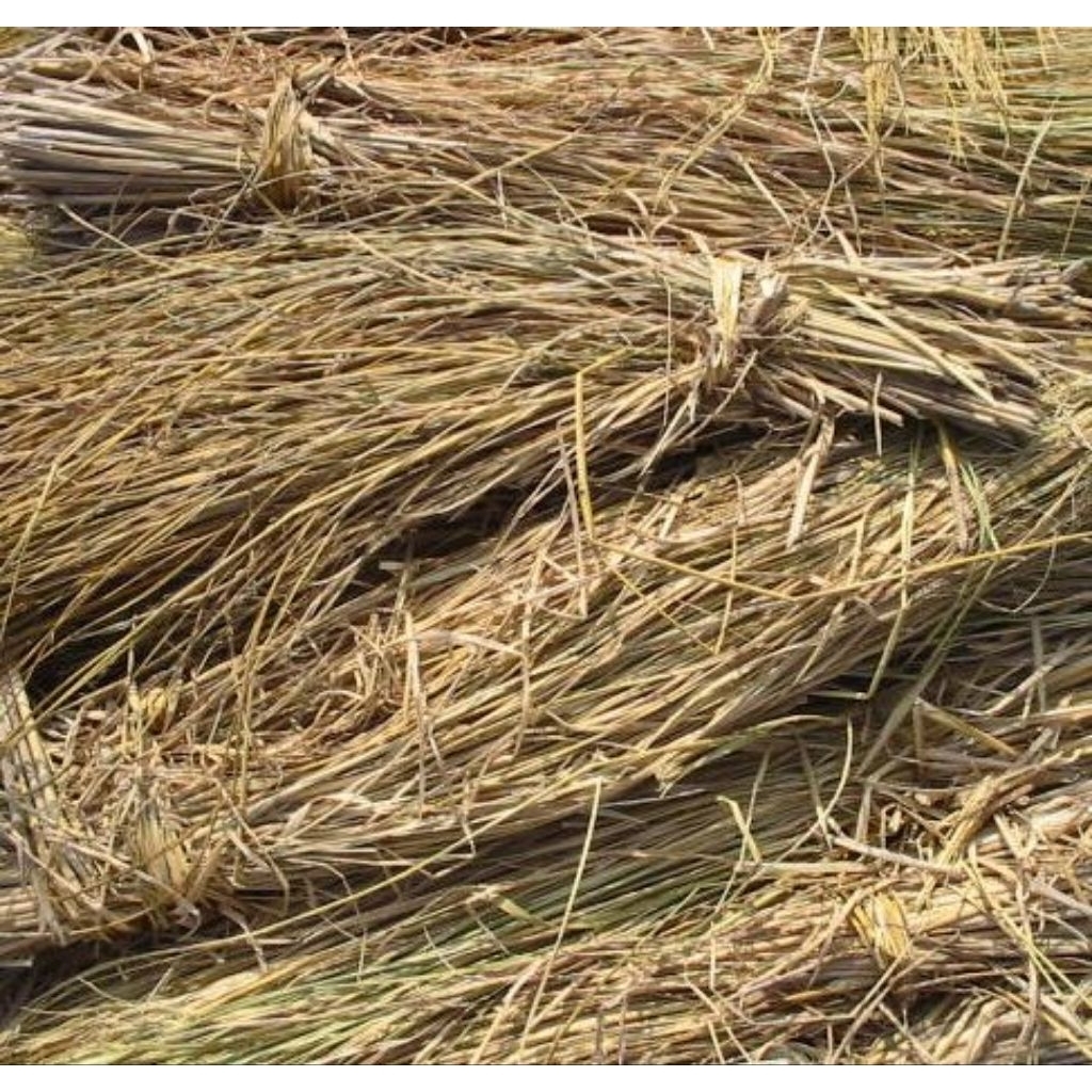 1kg jerami kering