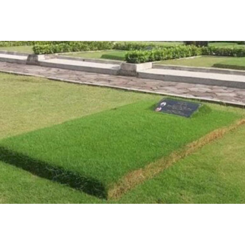tukang pasang rumput makam