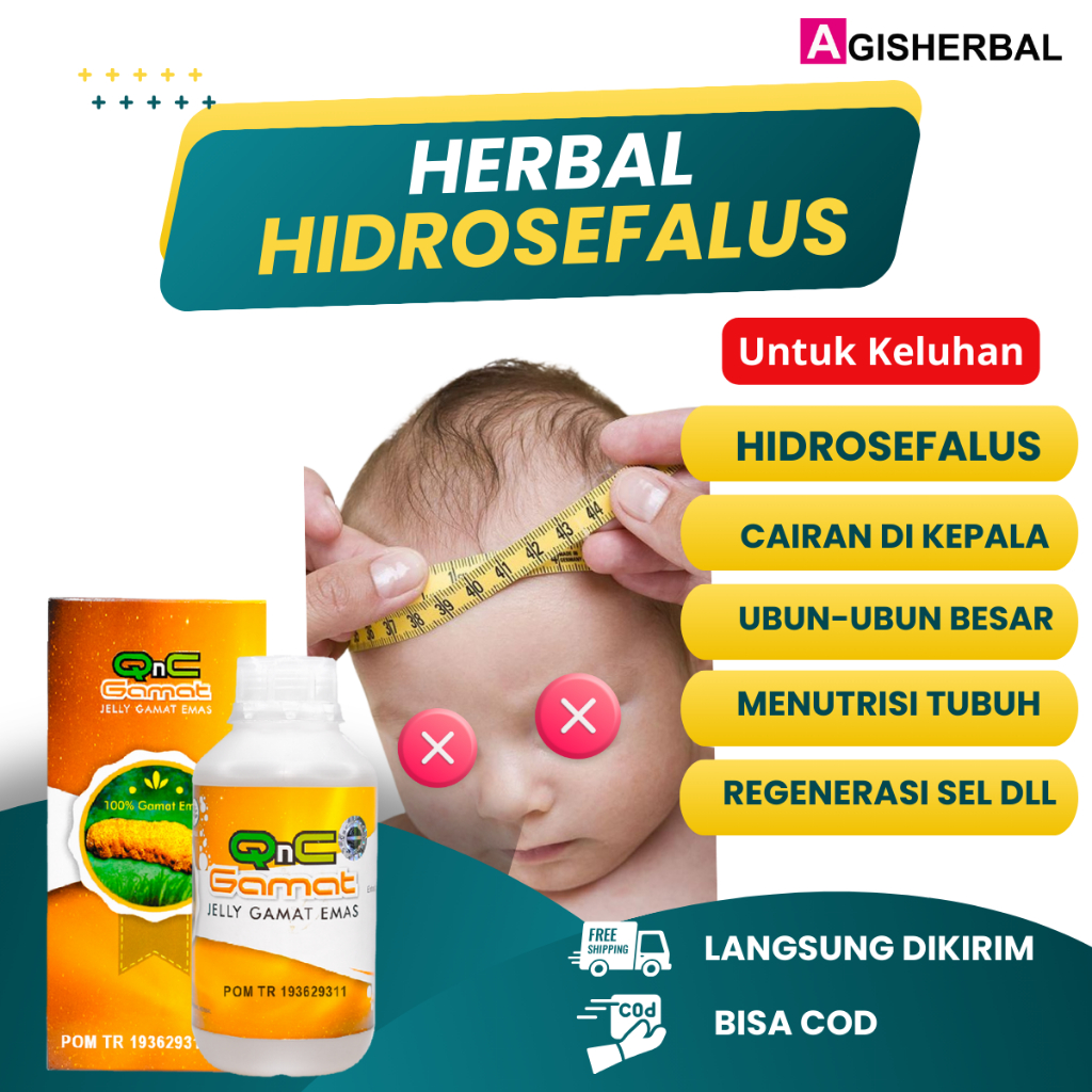 Obat Hidrosefalus Anak Herbal Qnc Jelly Gamat Emas Asli 100% Original