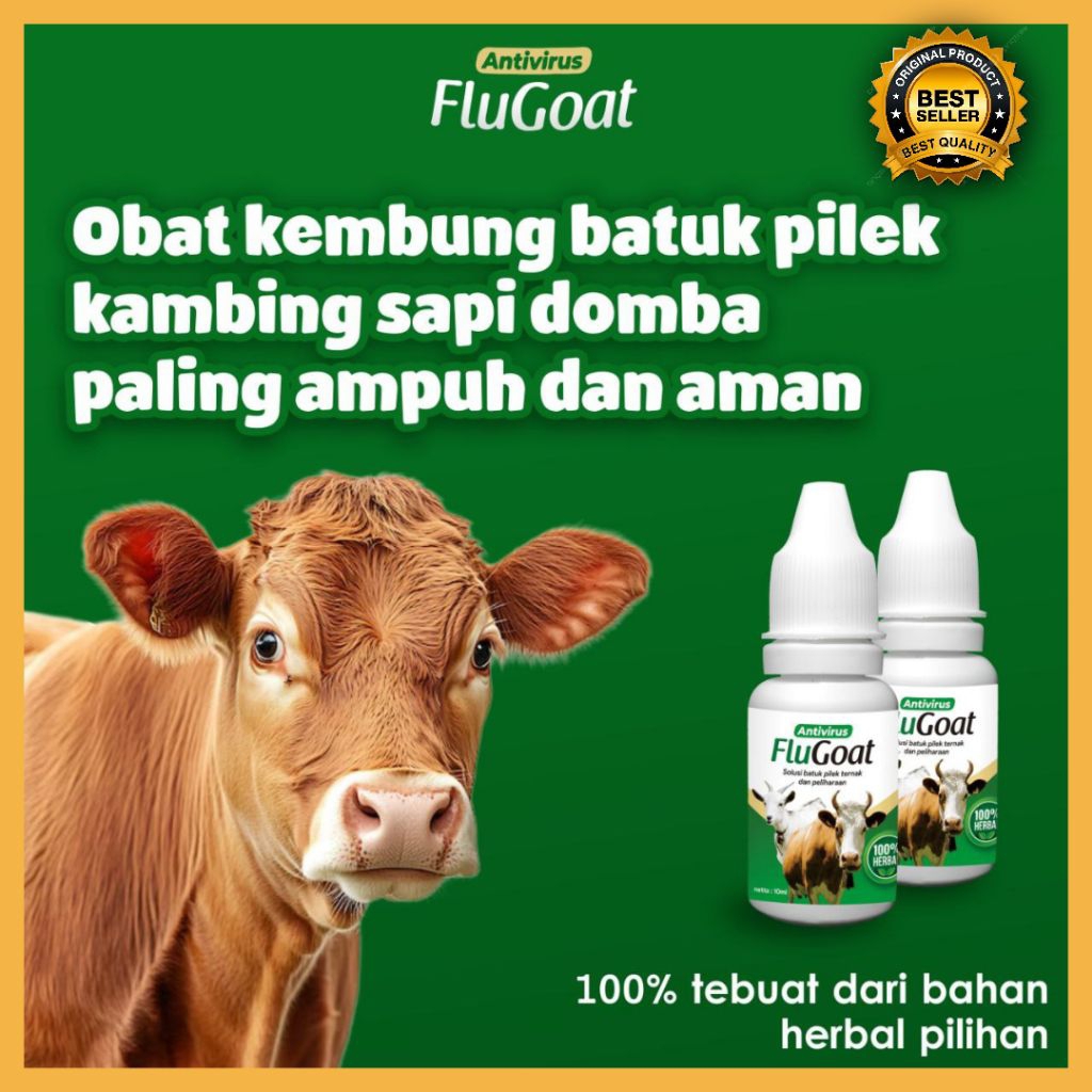 BERKUALITAS !! Obat Kambing Flu Batuk, Obat Kambing Flu Dan Batuk, Obat Kambing Flu Herbal