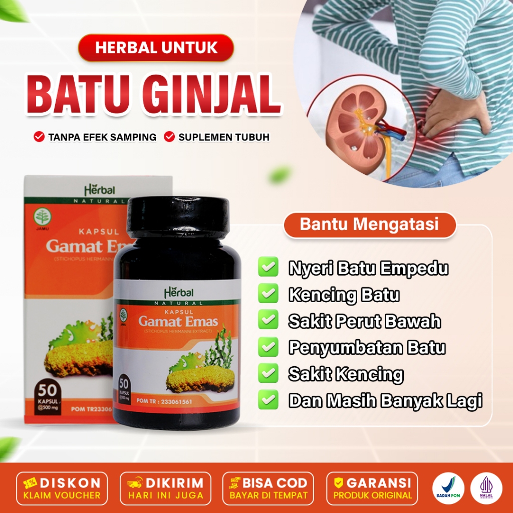 Kapsul Gamat Emas Asli Obat Sakit Ginjal Infeksi Batu Ginjal Infeksi Saluran Kemih Gagal Ginjal