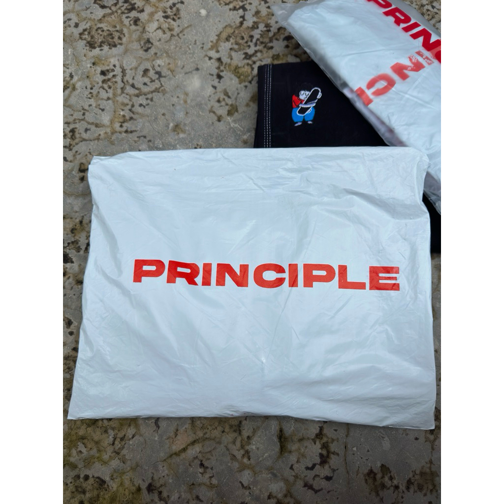 principle basic segel