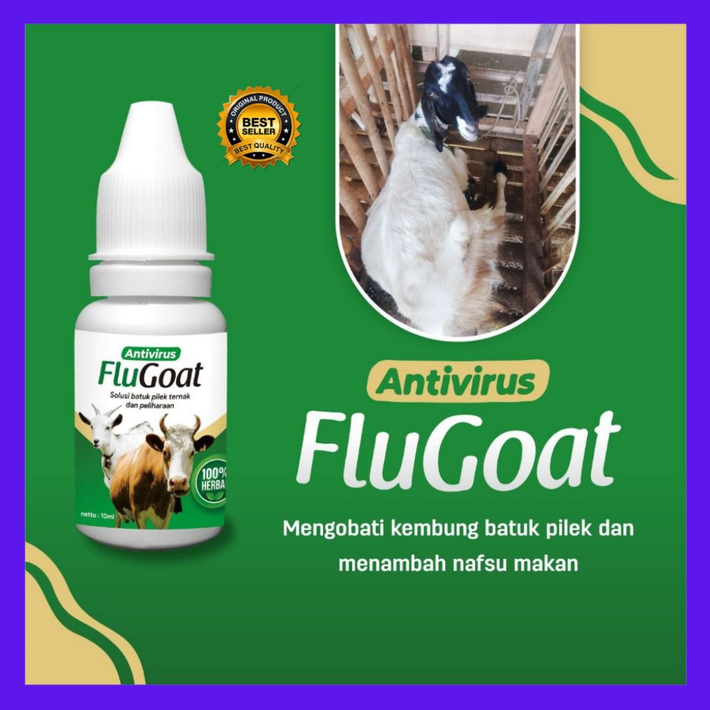 PALING LARIS  Flugoat Obat Flu Kambing Jawa, Flugoat Obat Flu Domba Garut, Flugoat Obat Flu  Untuk S