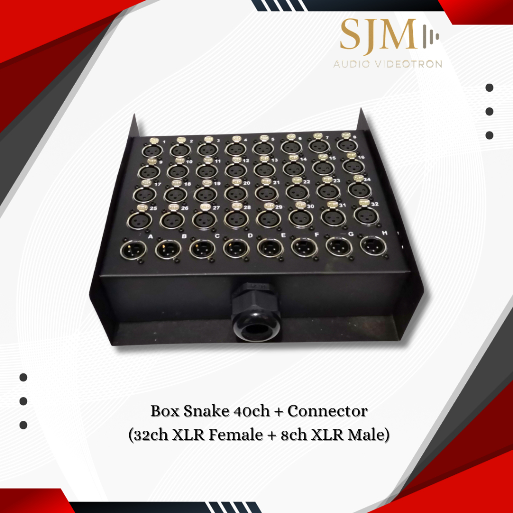 TERMINAL : Box Snake 40CH + Connector (32CH XLR Female + 8CH XLR Male)