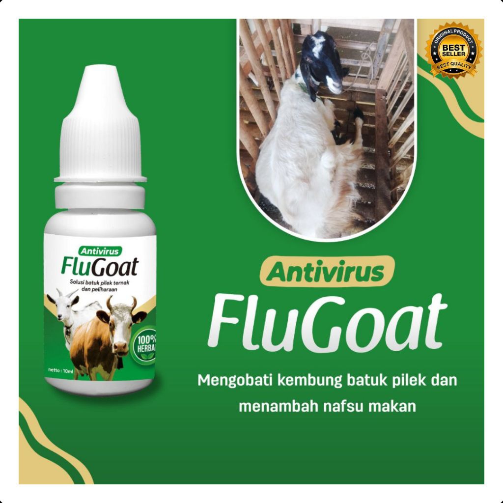 BERKUALITAS  Obat Kambing Flu Batuk, Obat Kambing Flu Dan Batuk