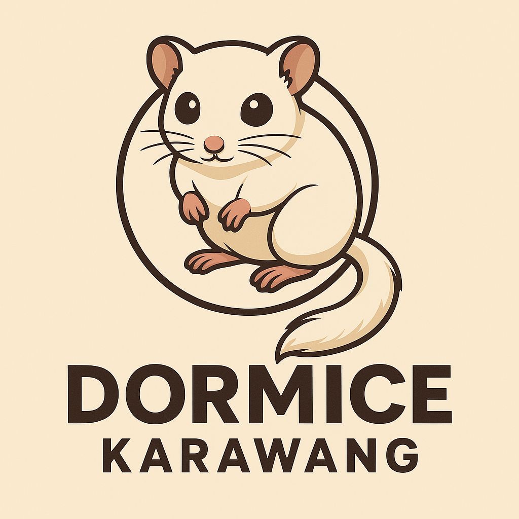 African Pygmy Dormice / Dormice