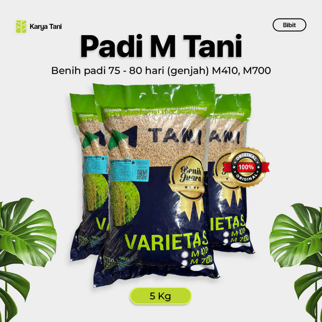 Padi M70D M400 Genjah Umur Cepat 5kg Kemasan Pabrik