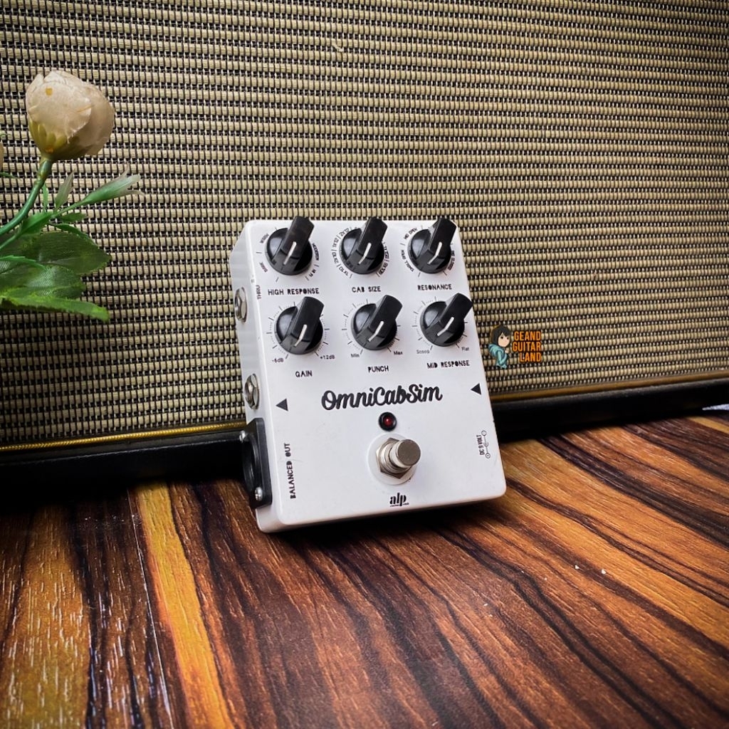 ALP Omni Cabsim Cabinet Simulator Based on DSM Omni Cabsim