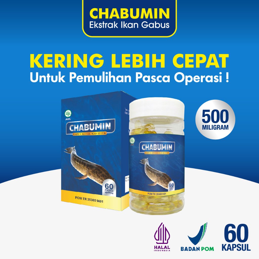 Chabumin - Kapsul Ekstrak Ikan Gabus Kutuk Isi 60 Untuk Luka Diabetes Operasi Cepat Pulih Kering