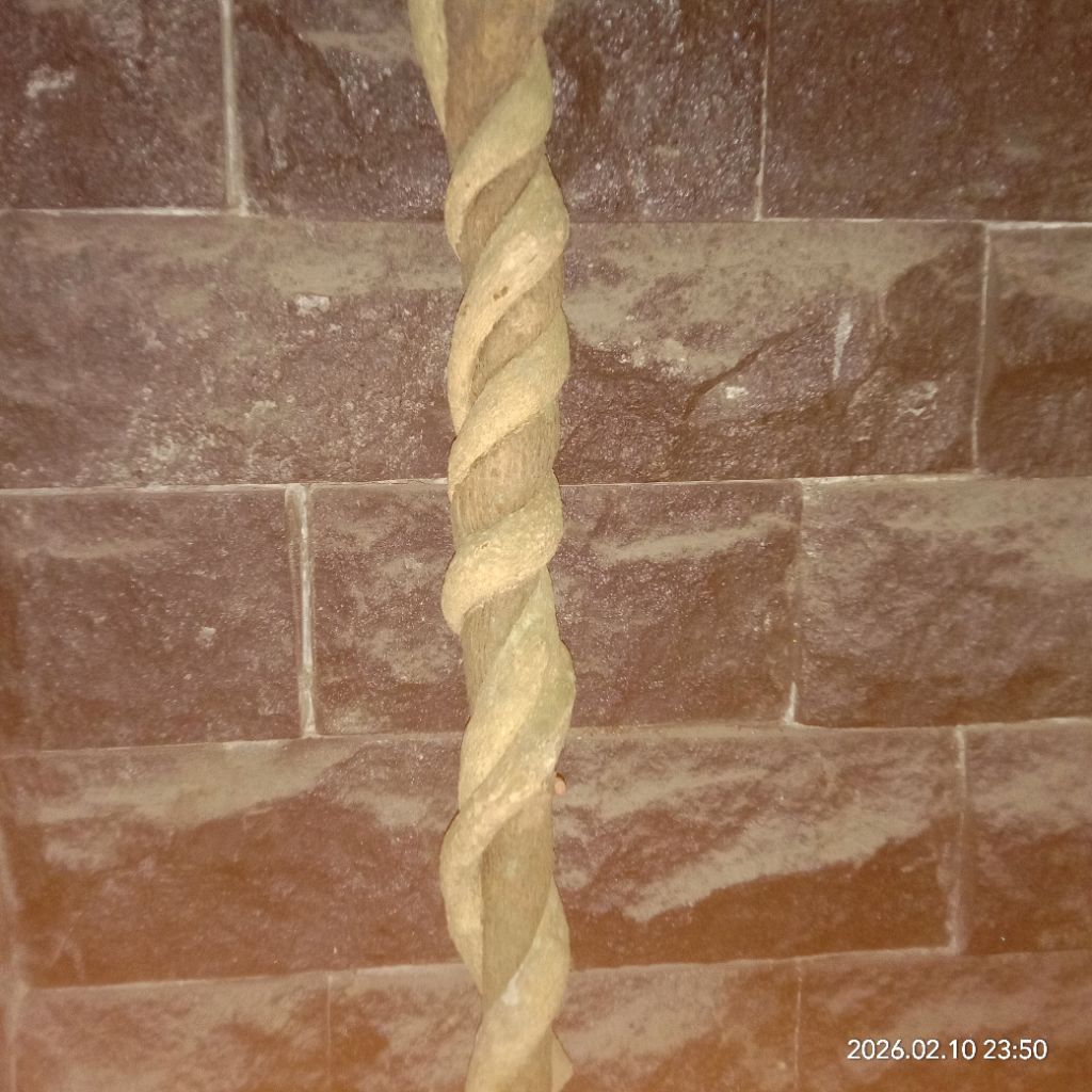 tongkat kayu sariro larak