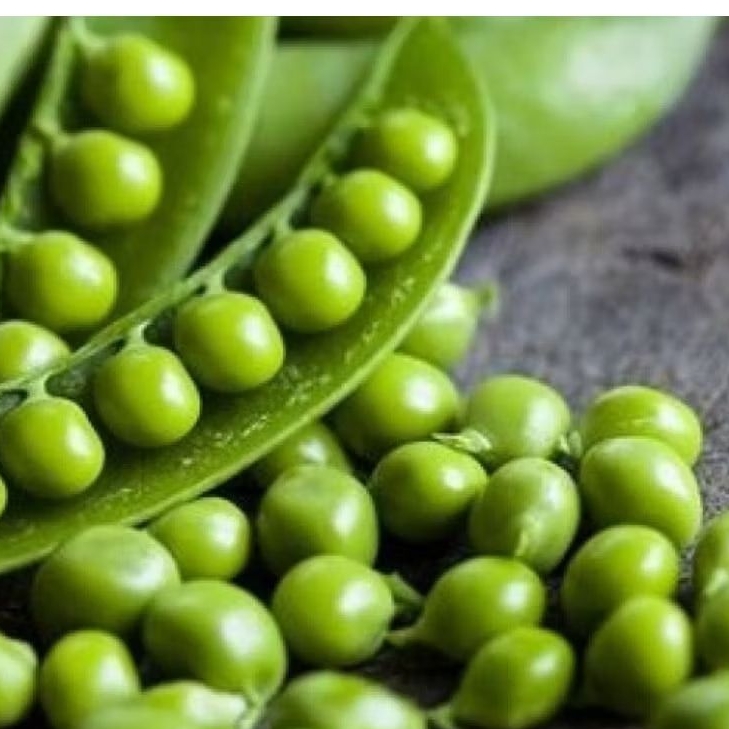 20 BUTIR BUI BENIH KACANG KAPRI / KACANG POLONG