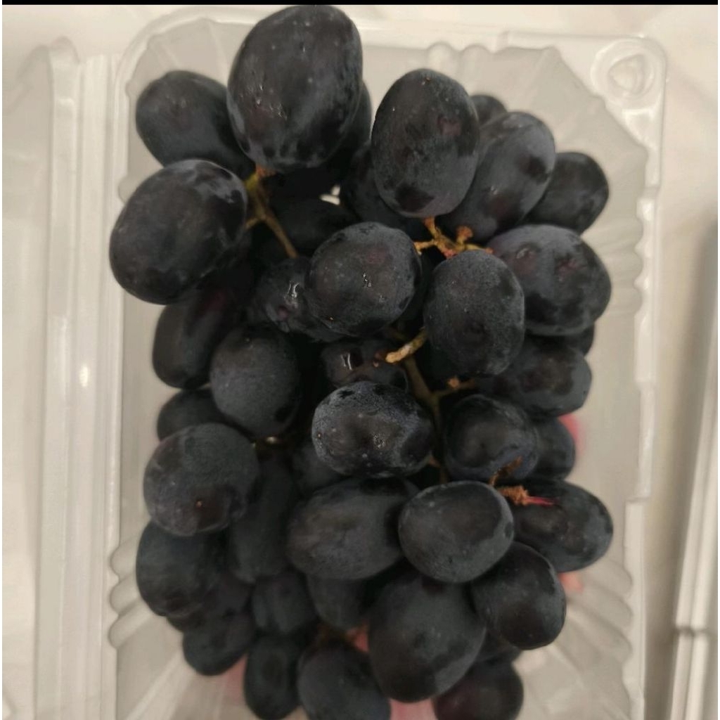 buah anggur midnight beauty manis segar anggur hitam ada biji 1kg