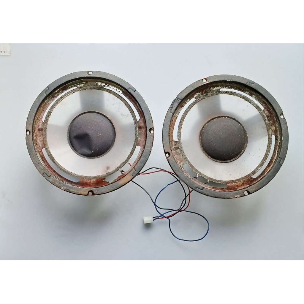 SEPASANG SPEAKER SUBWOOFER EKS POLYTRON PSW500 REBAH (mines)
