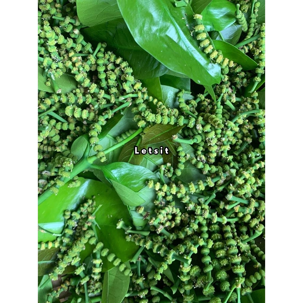 100 gram bunga melinjo uceng campur daun melinjo muda segar dipetik dadakan