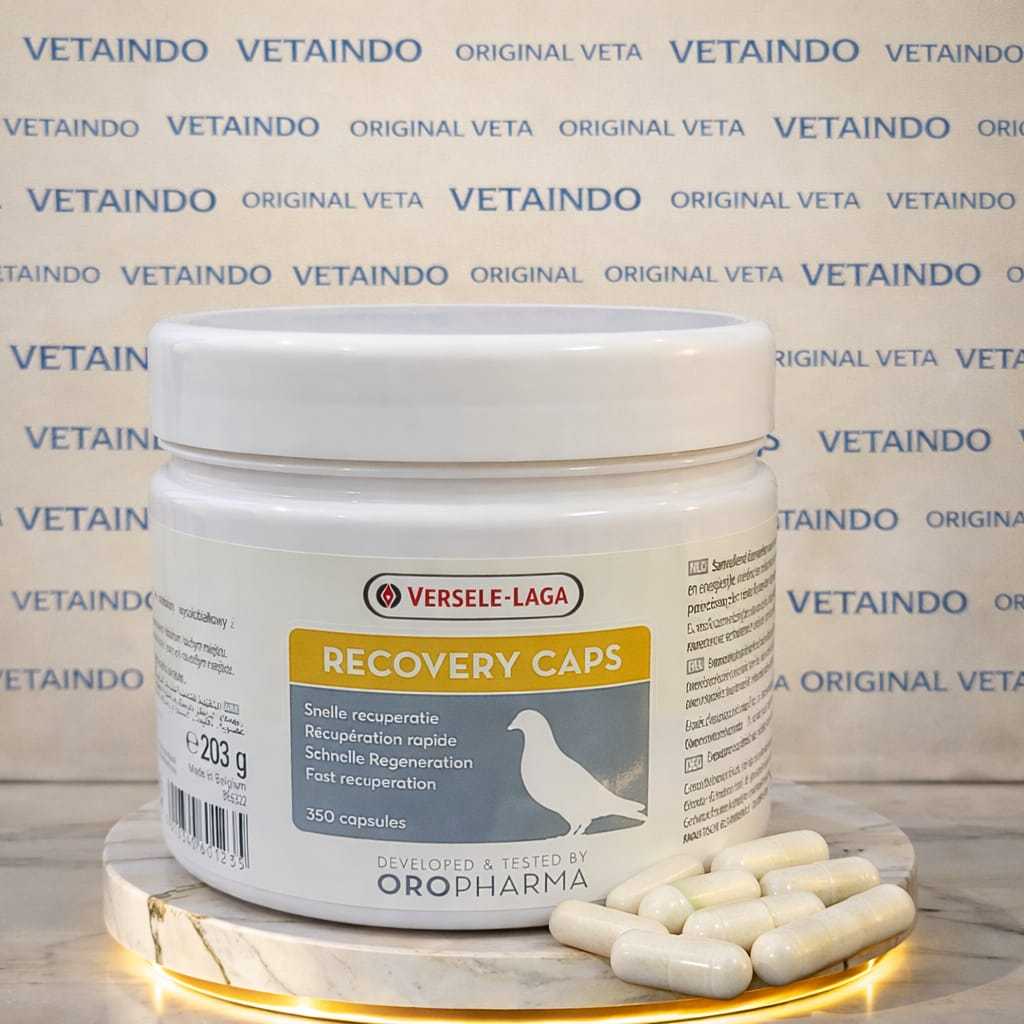 RECOVERY CAPS VERSELE LAGA BURUNG MERPATI BALAP NUTRISI OTOT PILL JAMU VERSELE LAGA IMPORT