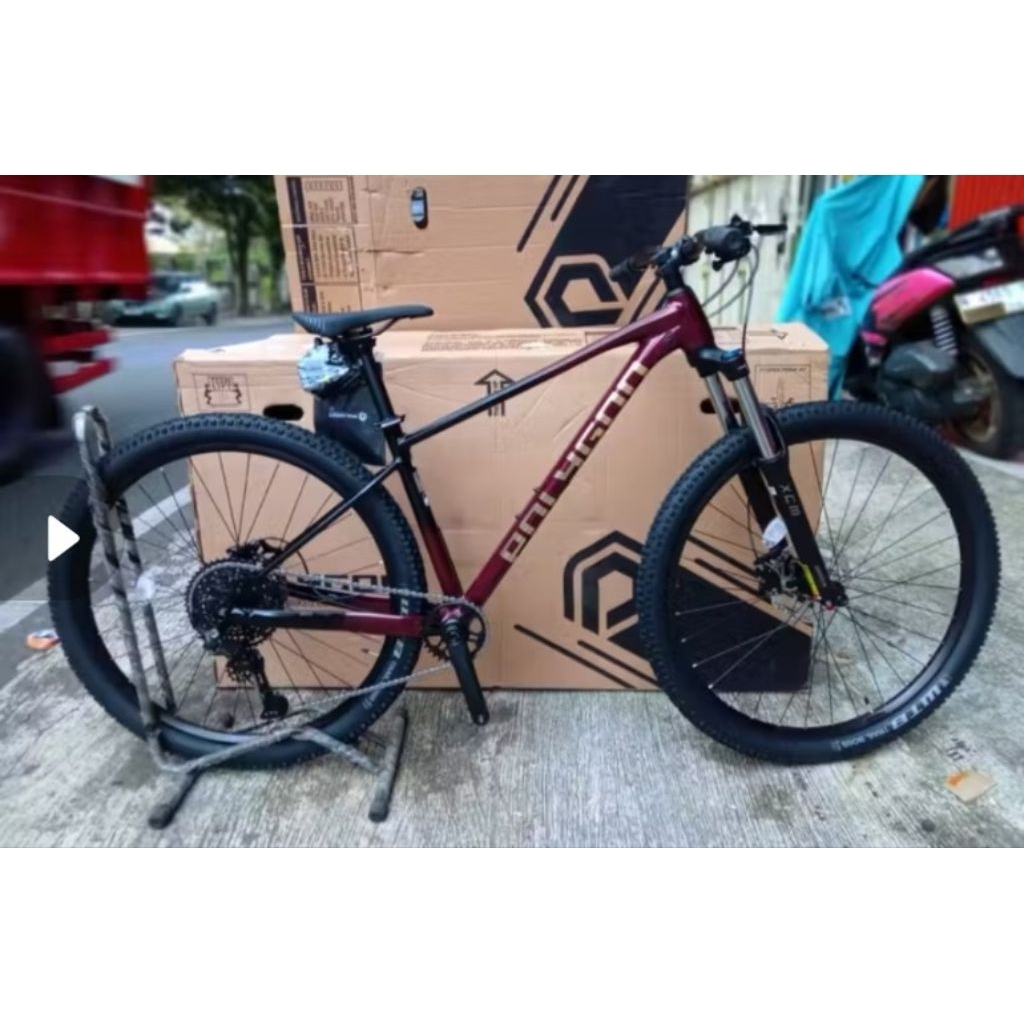 Polygon xtrada 5 size M 29er