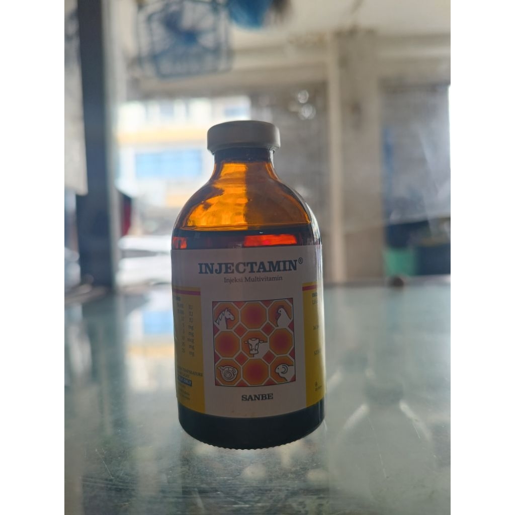 VITAMIN INJEKSI INJECTAMIN