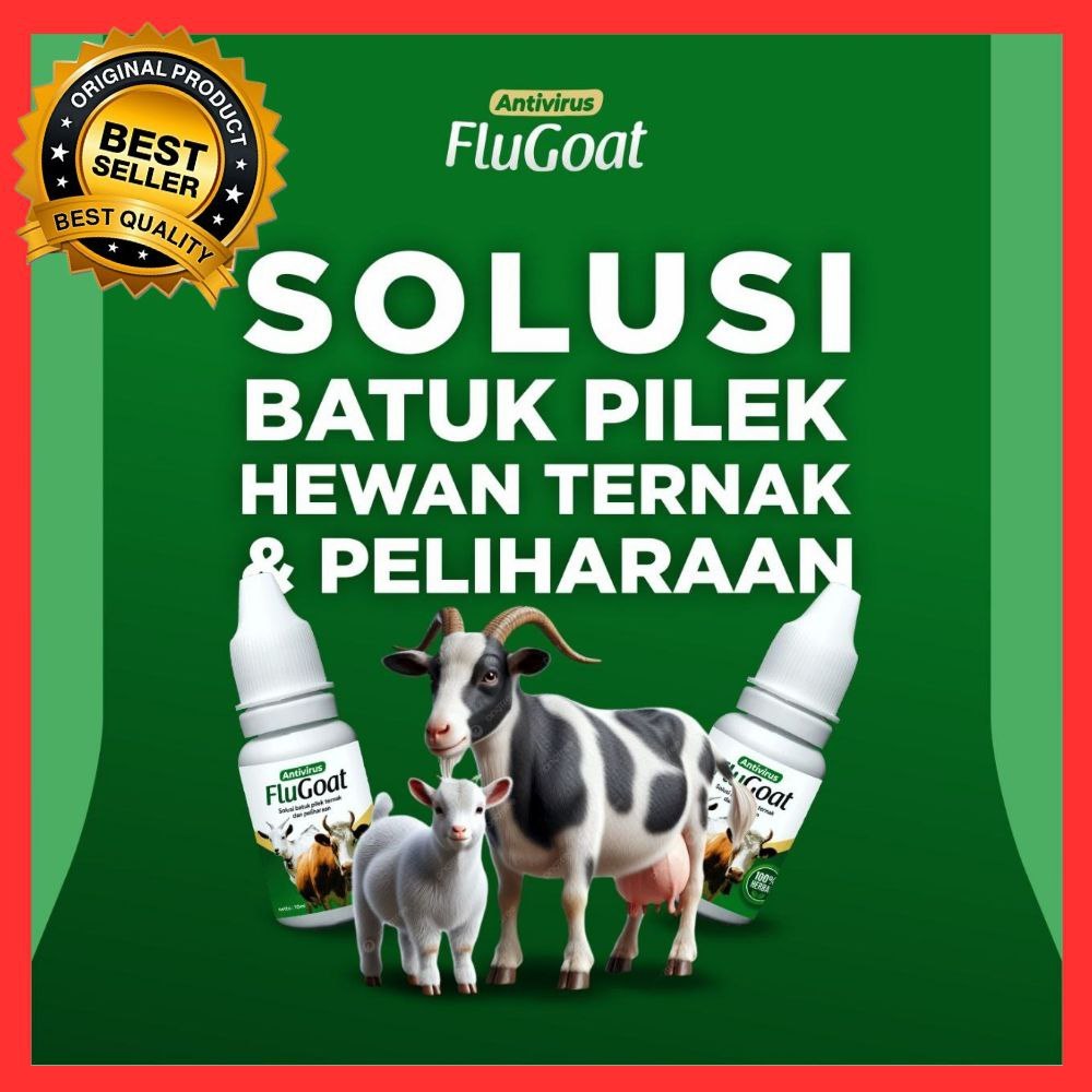 TERAMPUH  Obat Kambing Flu Alami, Obat Kambing Flu Batuk, Obat Kambing Flu Dan Batuk