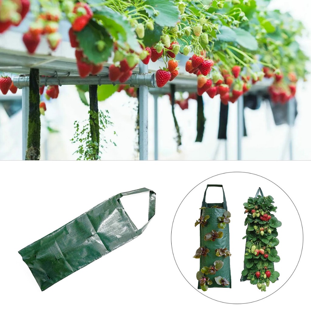 GARANSI - PLANTER BAG POUCH 10 SLITS POT GANTUNG VERTICAL