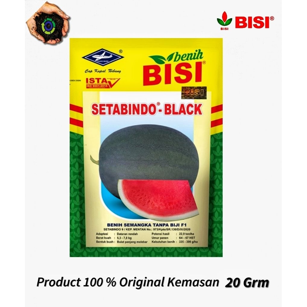 Semangka Tanpa Biji F1 SETABINDO BLACK 10 gram - Bibit Semangka Hibrida Non Biji  Benih Bisi