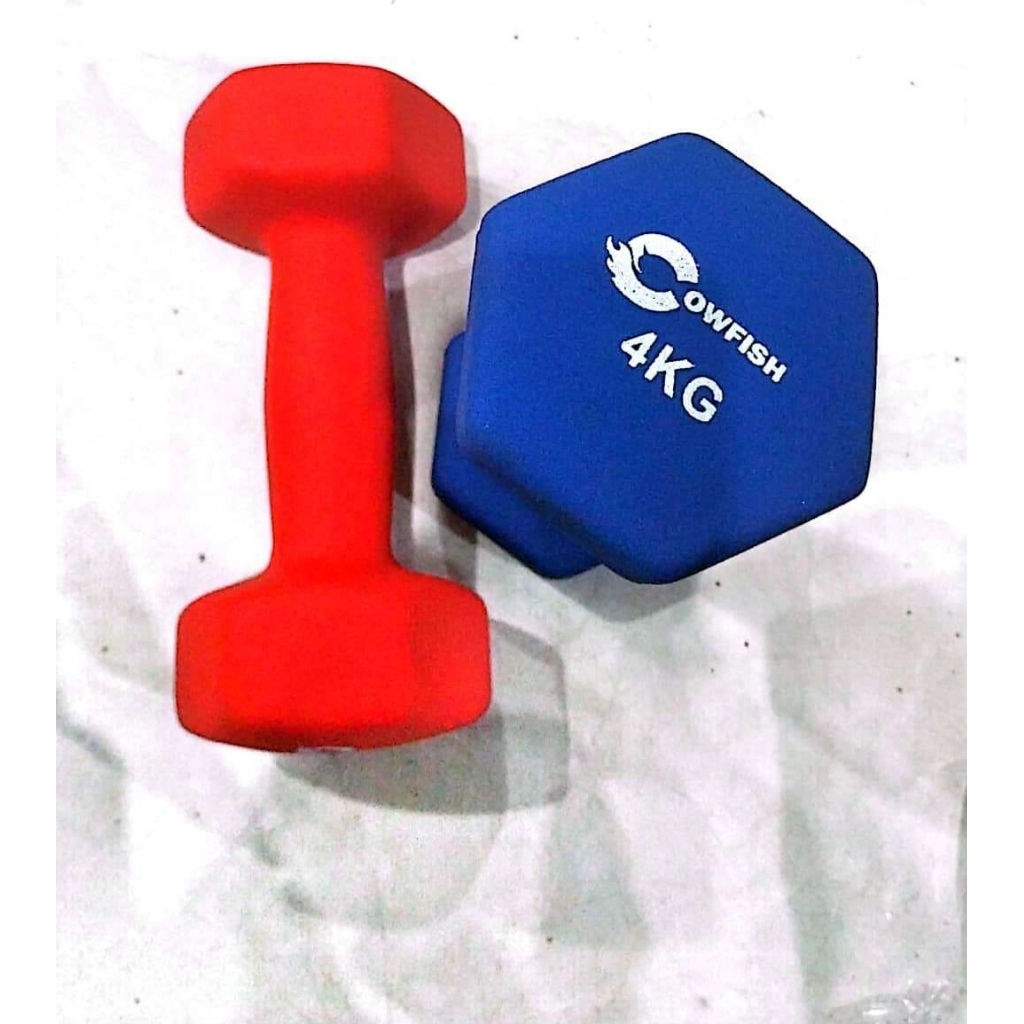 Barbel Cowfish 4kg Dumbbell Cowfish 4kg Barbel