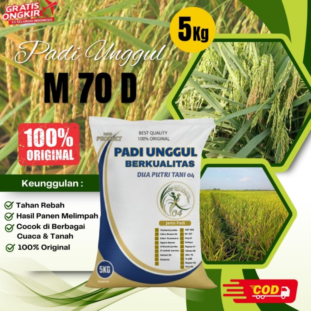 bibit PADI M 70 D kemasan 5kg