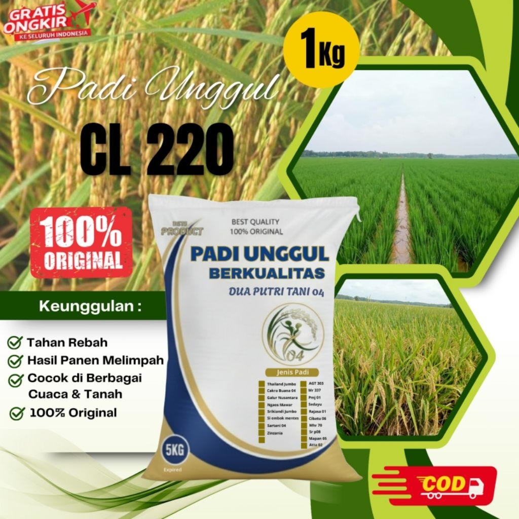 bibit PADI CL 220 kemasan 5kg