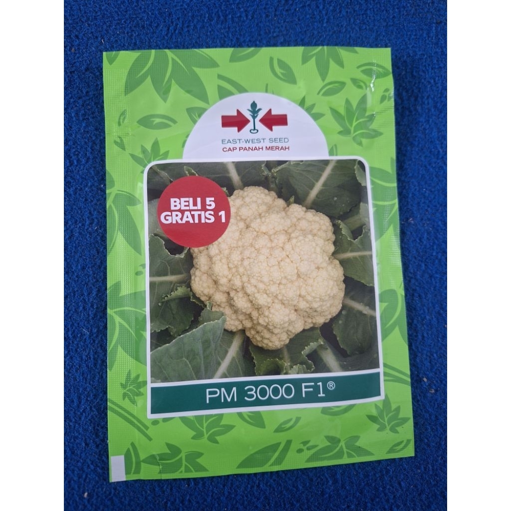 Benih Kembang Kol PM 3000 F1 10 Gram