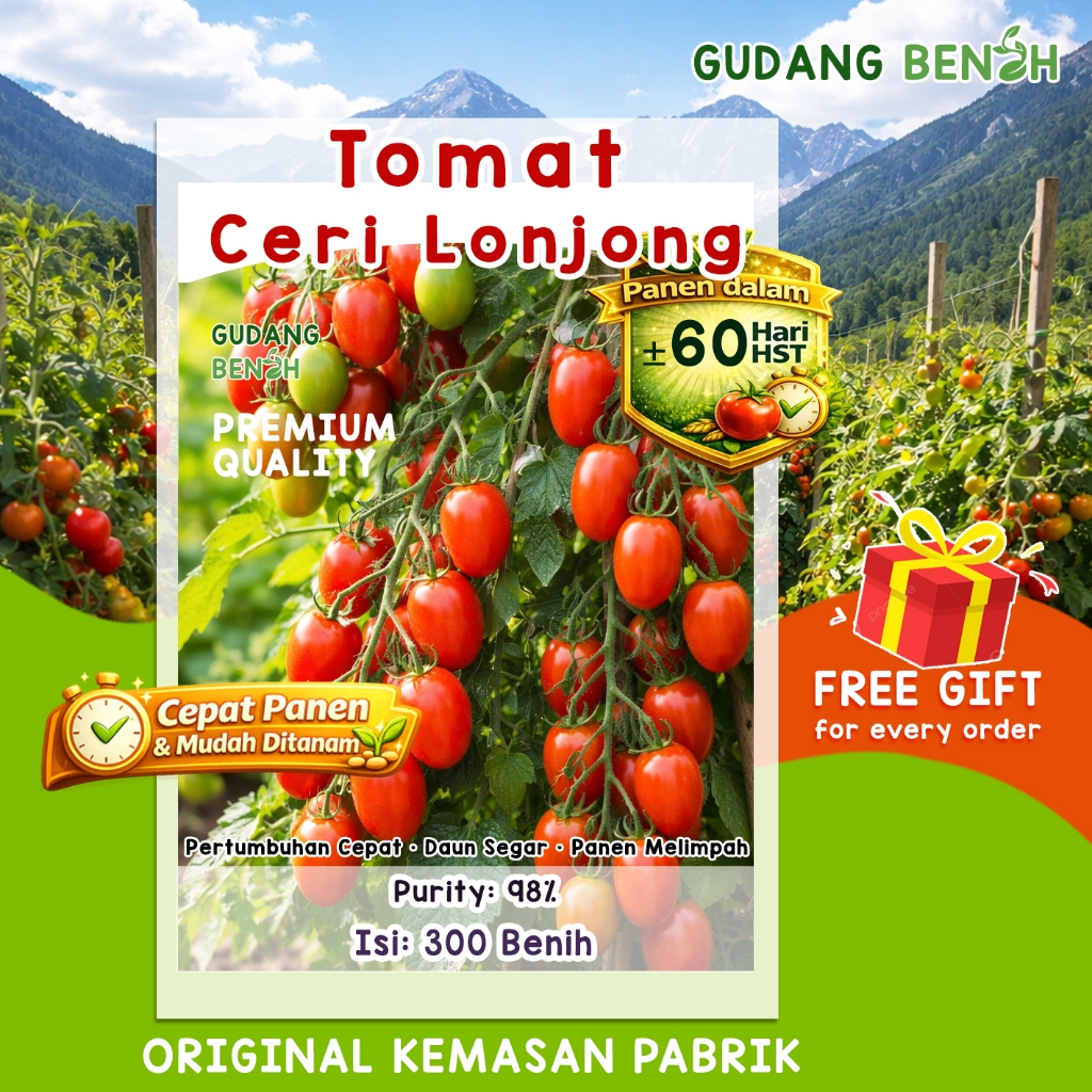 [ISI BANYAK] Benih Bibit Tomat Ceri Merah isi 300 Unggul - Biji Tomat Cherry Manis Fruit Biji