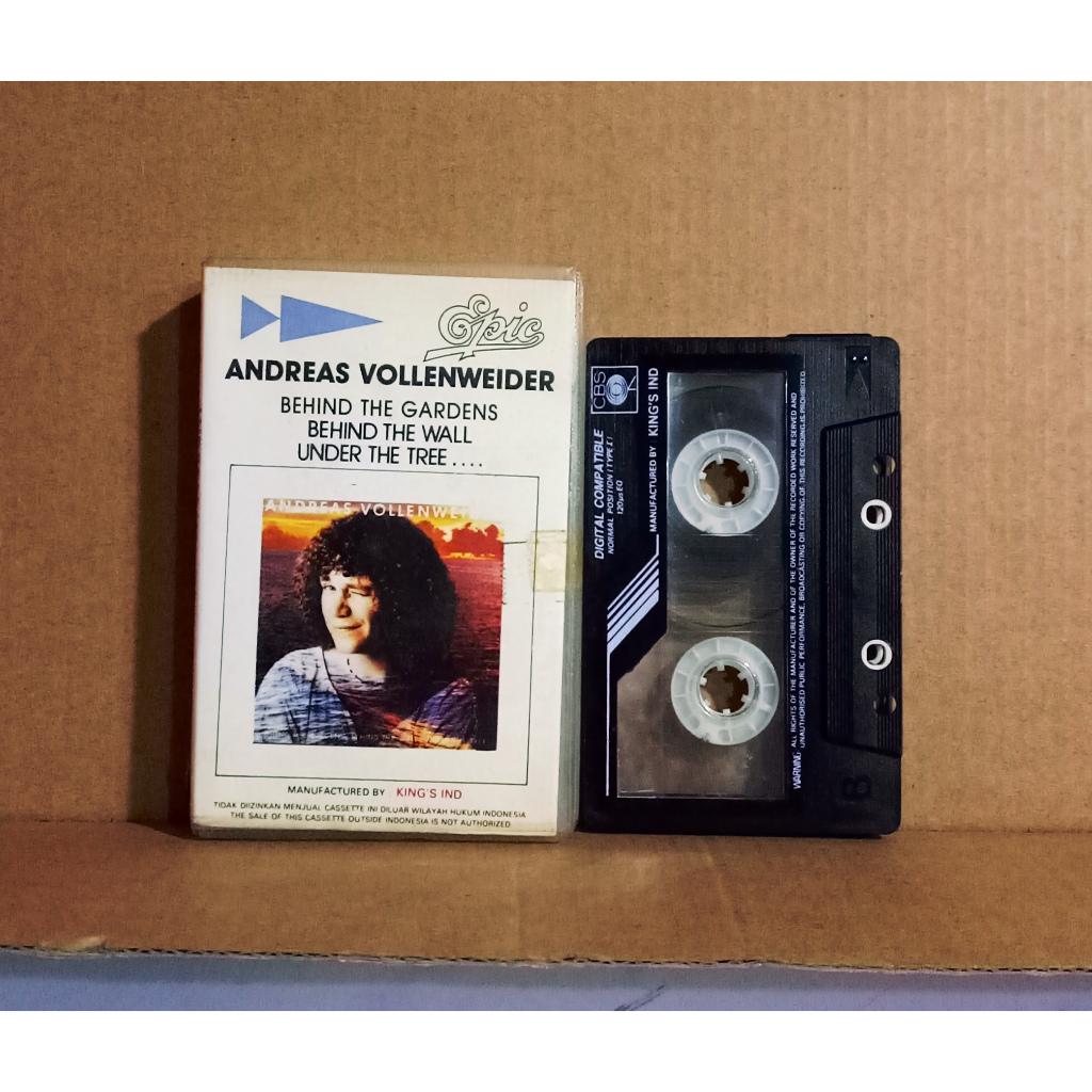 ANDREAS VOLLENWEIDER - BEHIND THE GARDENS BEHIND THE WALL UNDER THE TREE - Kaset