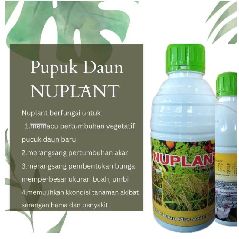 Pupuk Daun Plus asam amino NUPLANT 1liter, untuk masa generatif pada tanaman