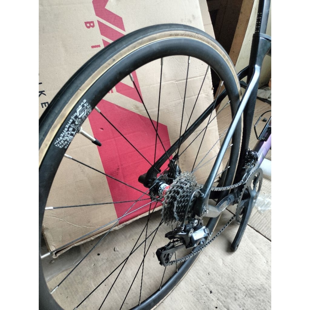 sepeda roadbike pacific magnus carbon