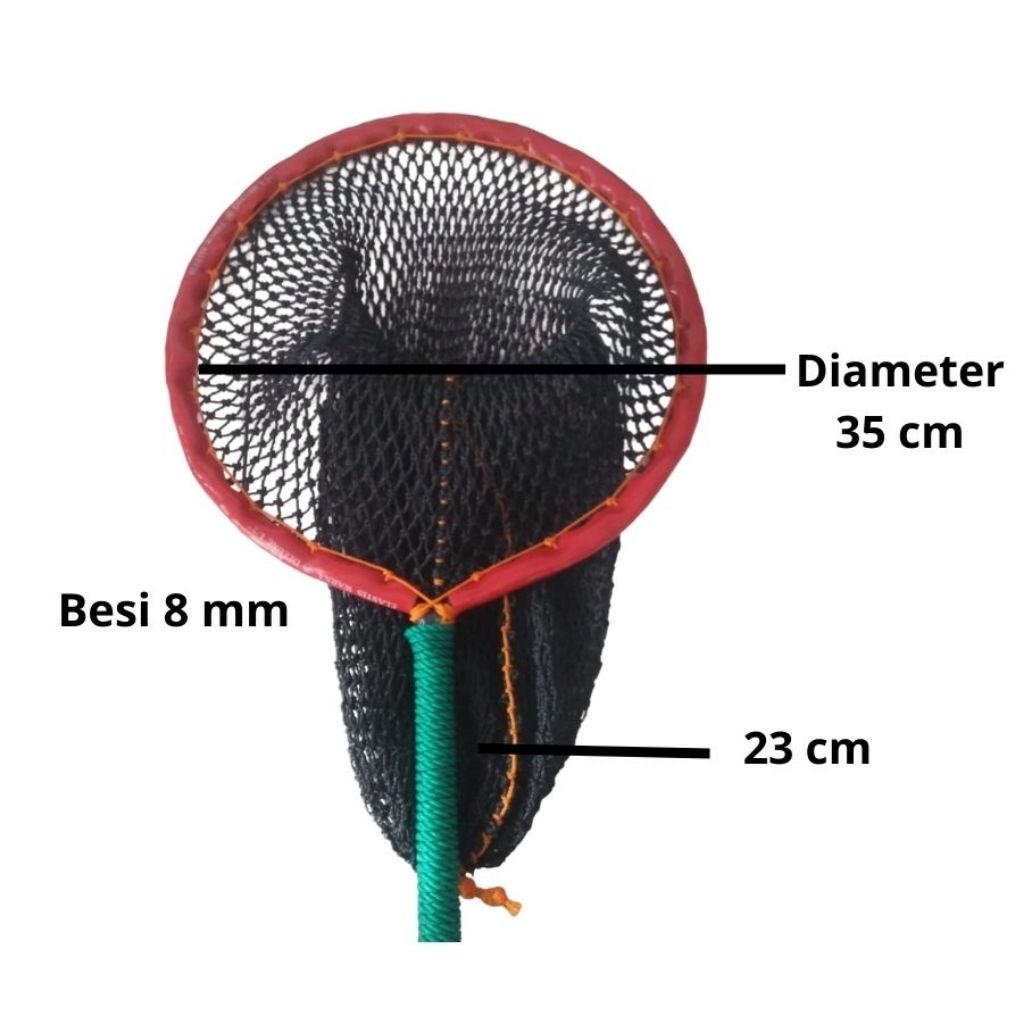 Serokan/Tanggok Ikan Konsumsi