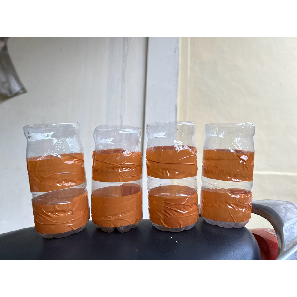 Botol rent cupang