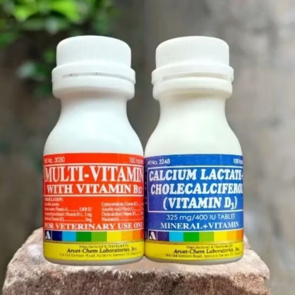 Multivitamin Calsium Laktate Paket Multivitamin & Calsium Laktate Filipina - Suplemen Ayam Aduan Men