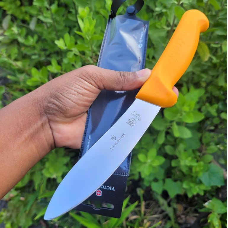 Victorinox Swibo 5.8429.13 Pisau Seset Kulit Sapi Domba 13 cm Lamb Skinning Original Swiss
