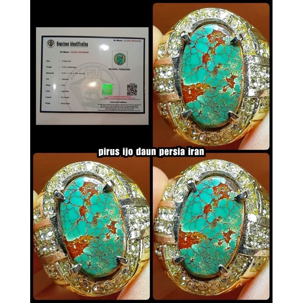 pirus ijo daun tentara asli persian iran lawasan