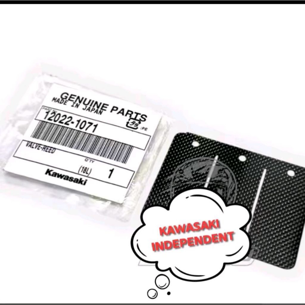 TERMURAH LIDAH MEMBRAN CARBON KX125 PNP NINJA RR R SS 150 ORIGINAL 12022-1071