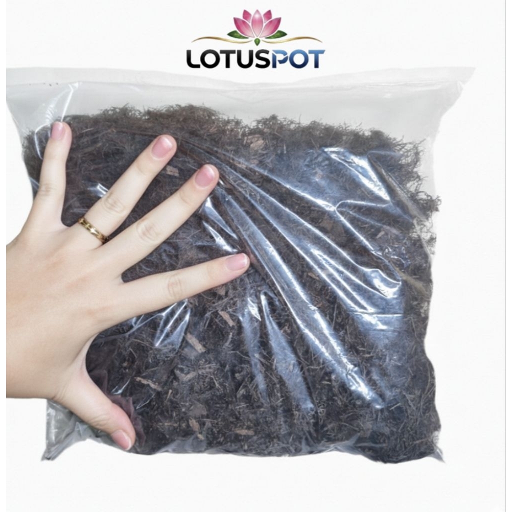 Mos Hitam Akar Kadaka Media Tanam Organik Kemasan Plastik