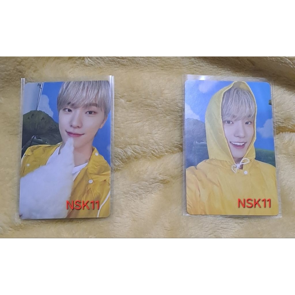 TAKE ALL PC DINO HEAVEN CARAT VER CARVER SEVENTEEN [BACA DESKRIPSI]