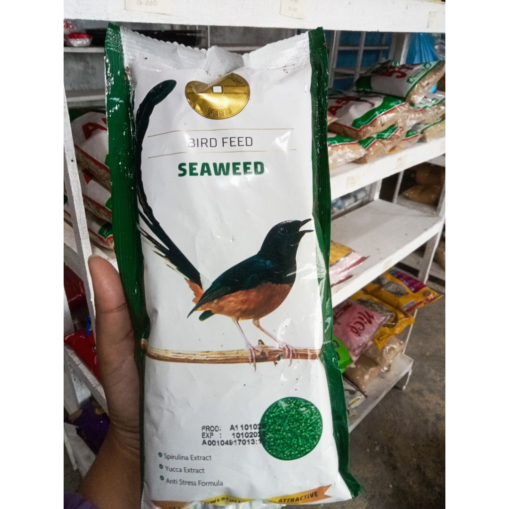 Gold Coin rumput laut hijau 450 gram