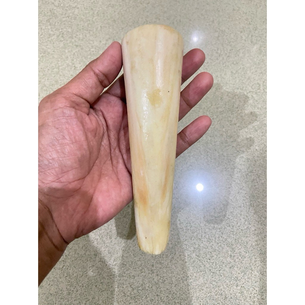 Jumbo gemoy once tulang marlin