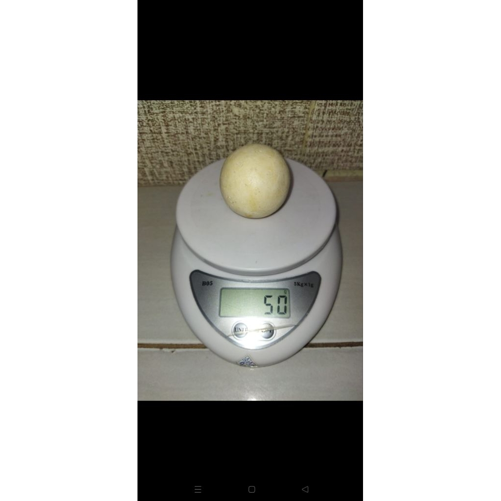 Obat herbal Geliga batu landak asli