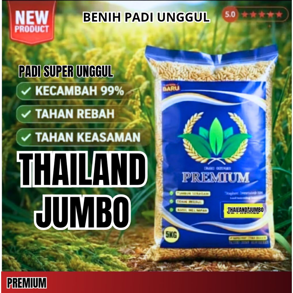 Benih padi Thailand jumbo asli premium bibit padi Thailand jumbo 5kg