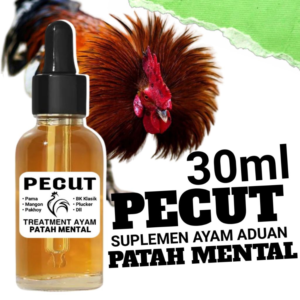 Treatment mental ayam cupu