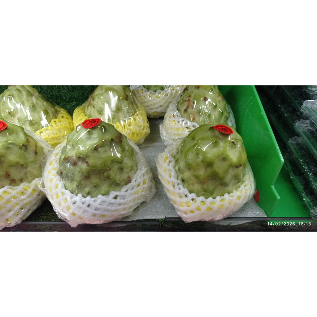 SRIKAYA TAIWAN JUMBO PER 1 BUAH